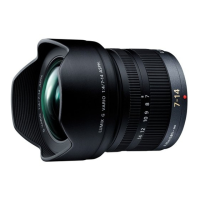 Preview: Panasonic Lumix H-F007014
