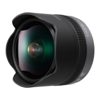 Preview: Panasonic Lumix H-F008