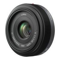 Preview: Panasonic Lumix H-H020