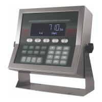 Preview: Rice Lake IQ plus 710