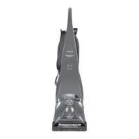 Preview: Bissell HEALTHY HOME PROHEAT