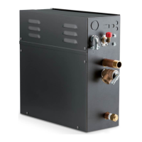Preview: Steamist TSG-10