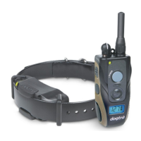 Preview: Dogtra ARC 1200S