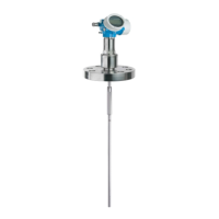 Preview: Endress+Hauser Levelflex FMP54