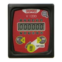 Preview: Gaspardo V1200