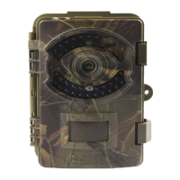 Preview: BUSHWACKER BIG EYE D3