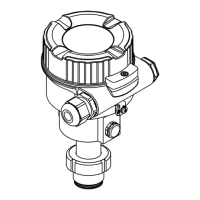 Preview: Deltapilot M FMB51