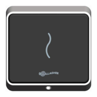 Preview: Gallagher T12