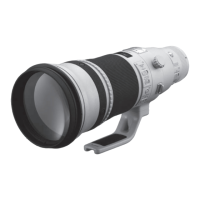 Preview: Canon EF500mm f/4L IS II USM