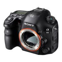 Preview: Sony Alpha SLT-A99