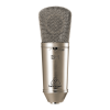 Microphone Logo