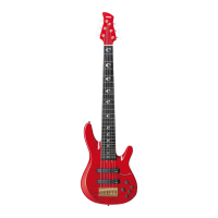 Preview: Yamaha TRB-JP2