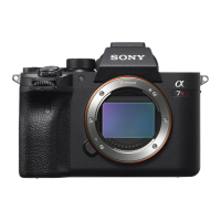 Preview: Sony ILCE-7RM4