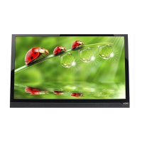 Preview: Vizio E291-A1
