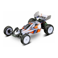 Preview: Ansmann Racing Mad Rat