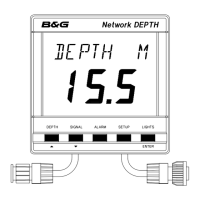 Preview: B&G Network DEPTH