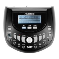 Preview: Alesis DM7