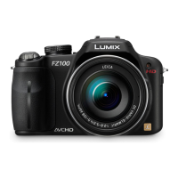 Preview: Panasonic LUMIX DMC-FZ100