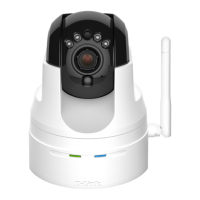 Preview: D-Link DCS-5222L