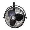Fan Logo