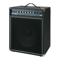 Preview: Acoustic B100