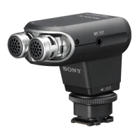 Preview: Sony ECM-XYST1M