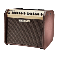 Preview: Fishman Loudbox Mini