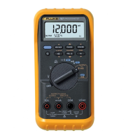 Preview: Fluke ProcessMeter 787