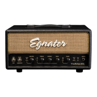 Preview: Egnater Tweaker