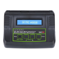 Preview: Skyrc e6650