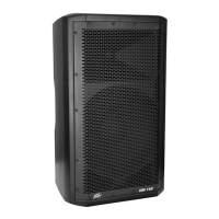 Preview: Peavey Dm 112