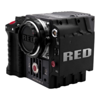Preview: RED SCARLET-X