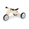 Bicycle Logo