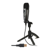 Microphone Logo