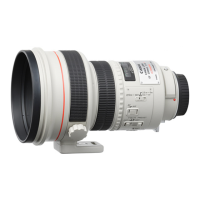 Preview: Canon EF 200mm 1:1.8 L USM