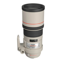 Preview: Canon EF 300mm 1:4.0 L IS USM