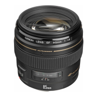 Preview: Canon EF 85mm 1:1.8 USM