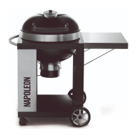 Preview: Napoleon PRO22K-CART-2