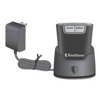 Preview: FoodSaver FS2100