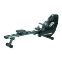 Preview: Schwinn Windrigger