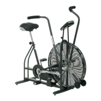 Preview: Schwinn Airdyne