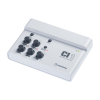 Preview: Steinberg CI1