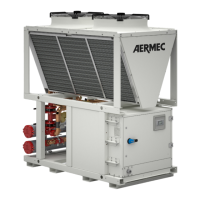 Preview: AERMEC NYB
