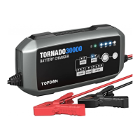 Preview: Topdon Tornado 30000