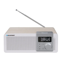 Preview: Blaupunkt PP14BT