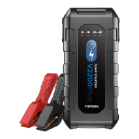 Preview: Topdon V2200Plus
