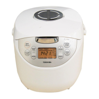 Preview: Toshiba RC-10NAF Series