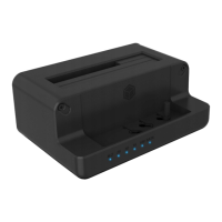 Preview: Icy Box IB-2914MSCL-C31