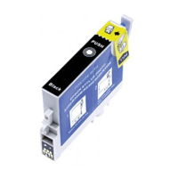Preview: Epson T048120
