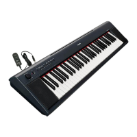 Preview: Yamaha piaggero NP-11